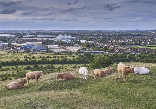 East Dunstable Area Guide